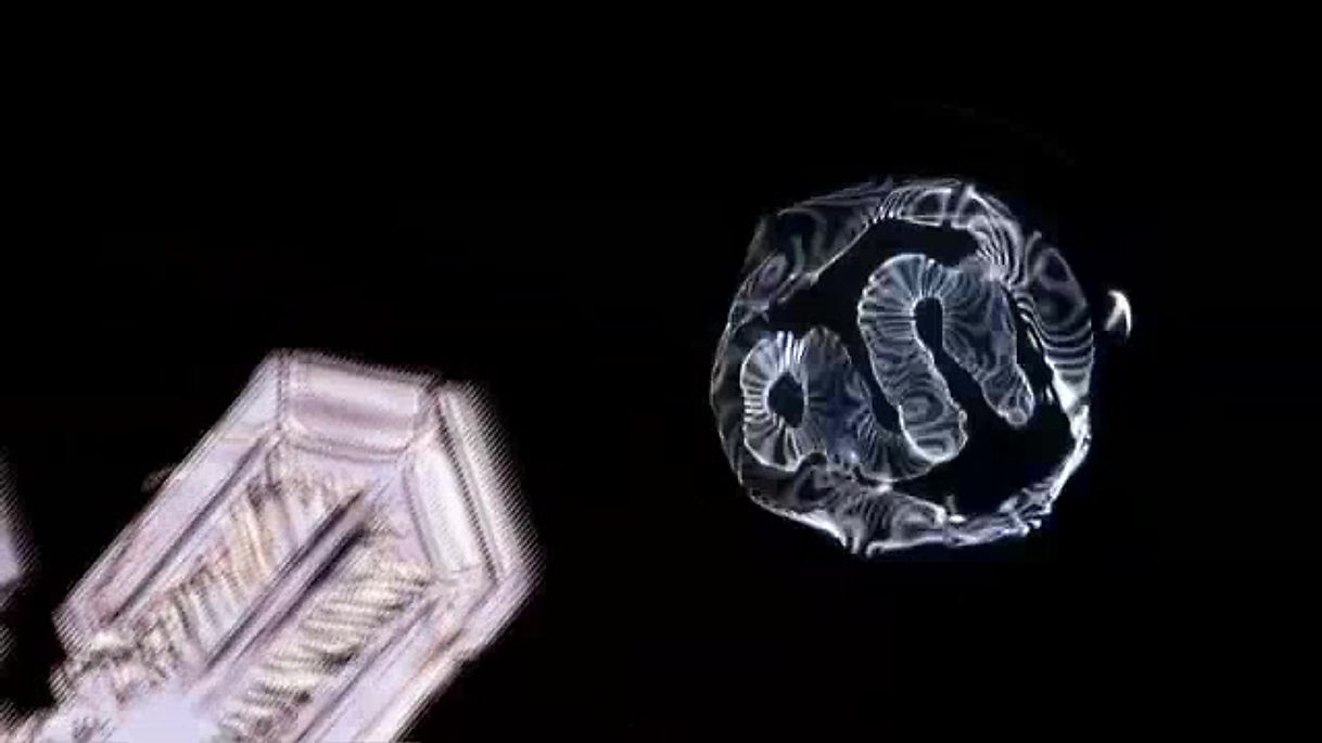 Cymatic Snow Dance-Sugar Plum Fairy